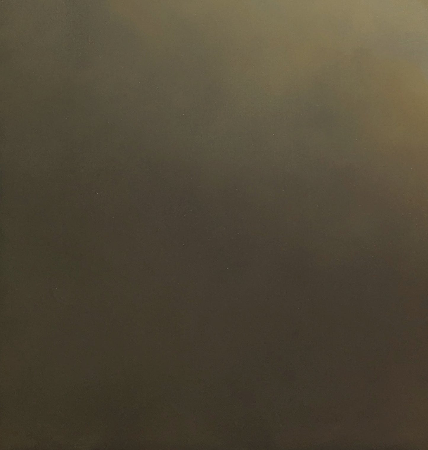 Evening's Warmth - Gabriela Azar Schreiner art