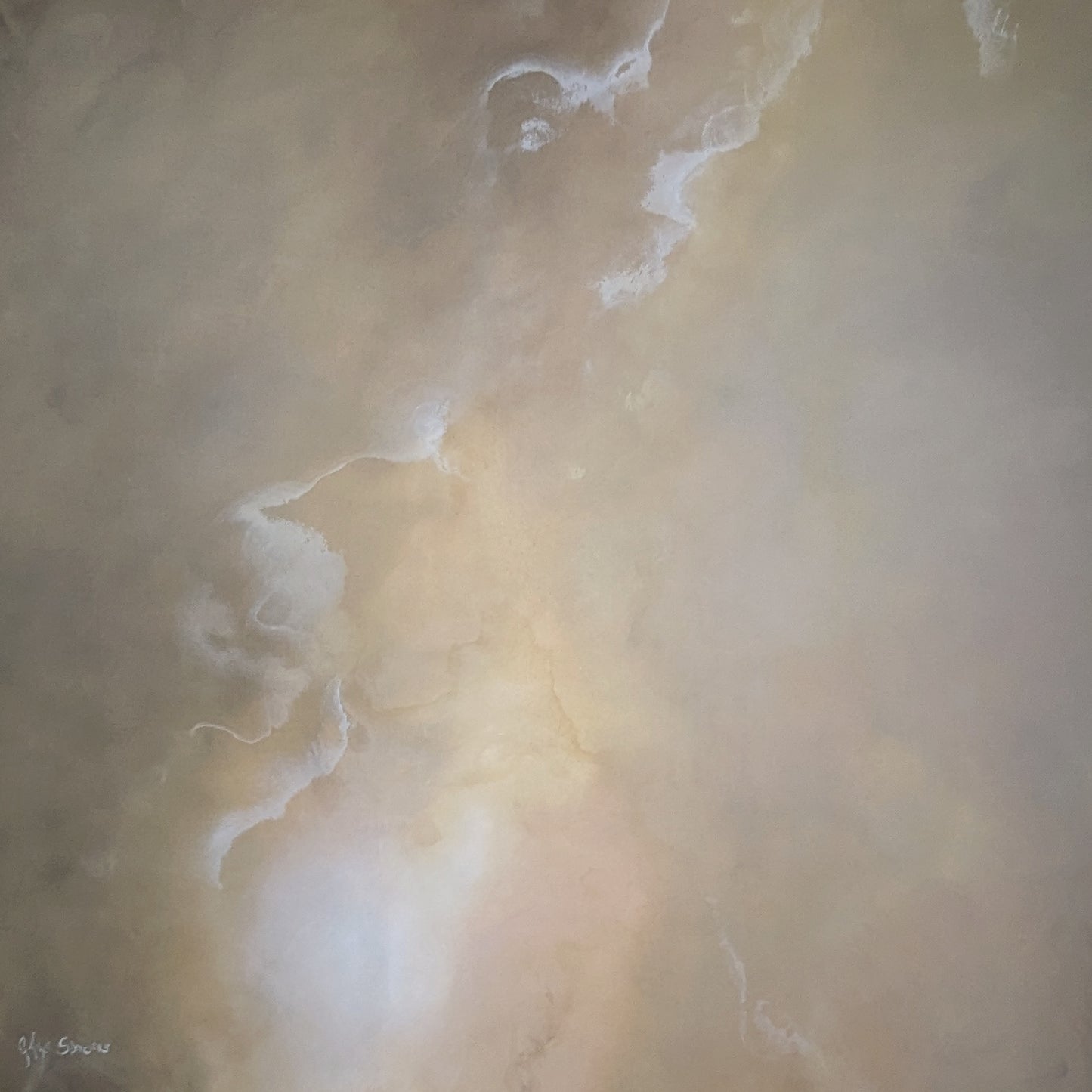 To the Core - Gabriela Azar Schreiner art