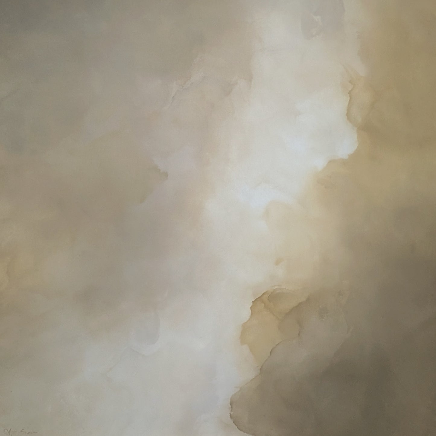 Veiled Brilliance - Gabriela Azar Schreiner art