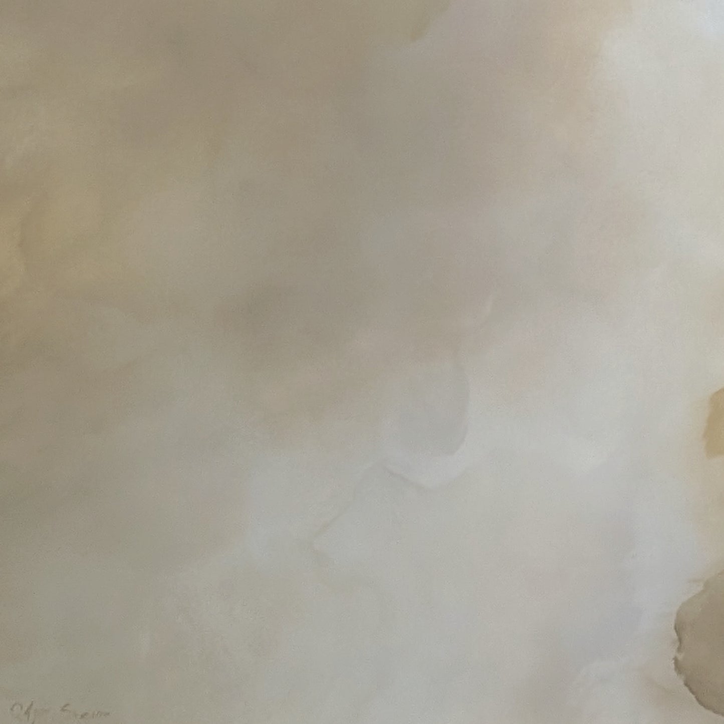 Veiled Brilliance - Gabriela Azar Schreiner art
