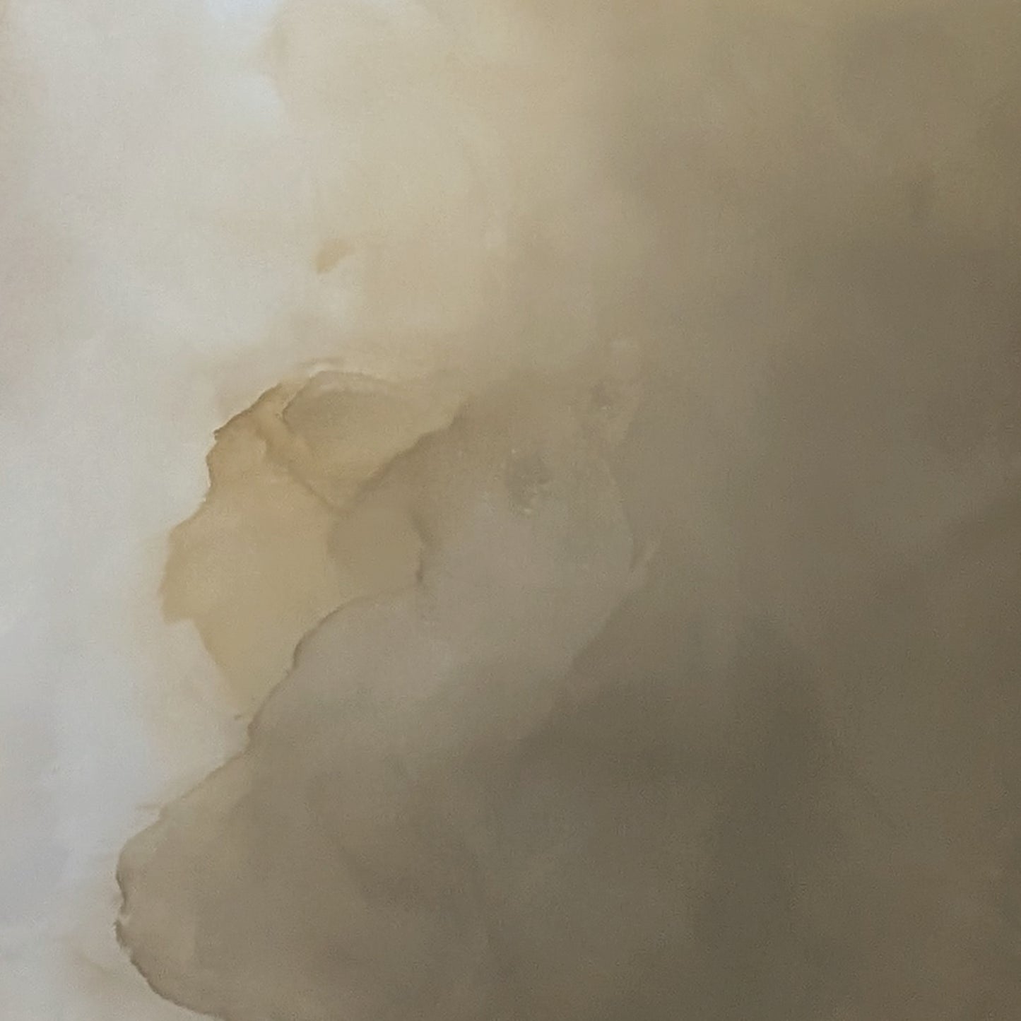Veiled Brilliance - Gabriela Azar Schreiner art