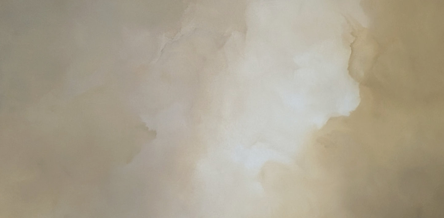 Veiled Brilliance - Gabriela Azar Schreiner art