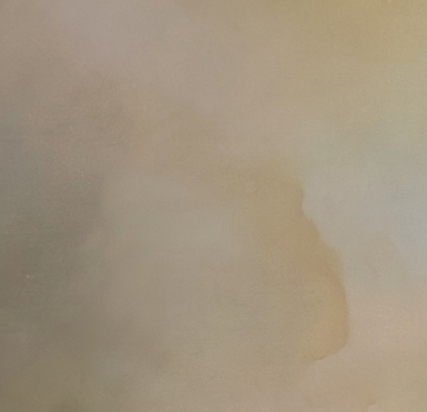 Whispered Horizons - Gabriela Azar Schreiner art