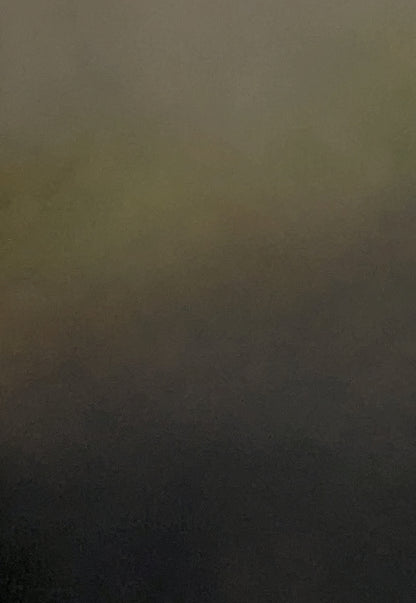 Bosque Sereno - Gabriela Azar Schreiner art