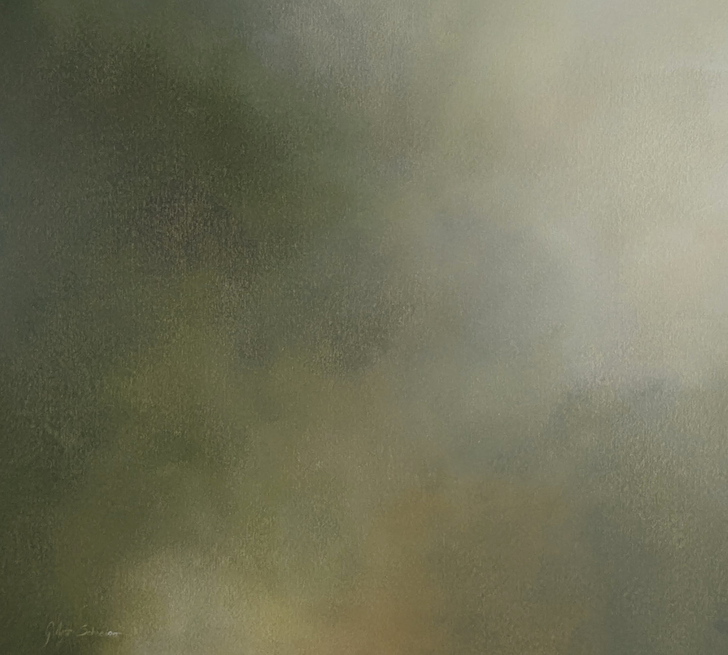 Canopy l - Gabriela Azar Schreiner art