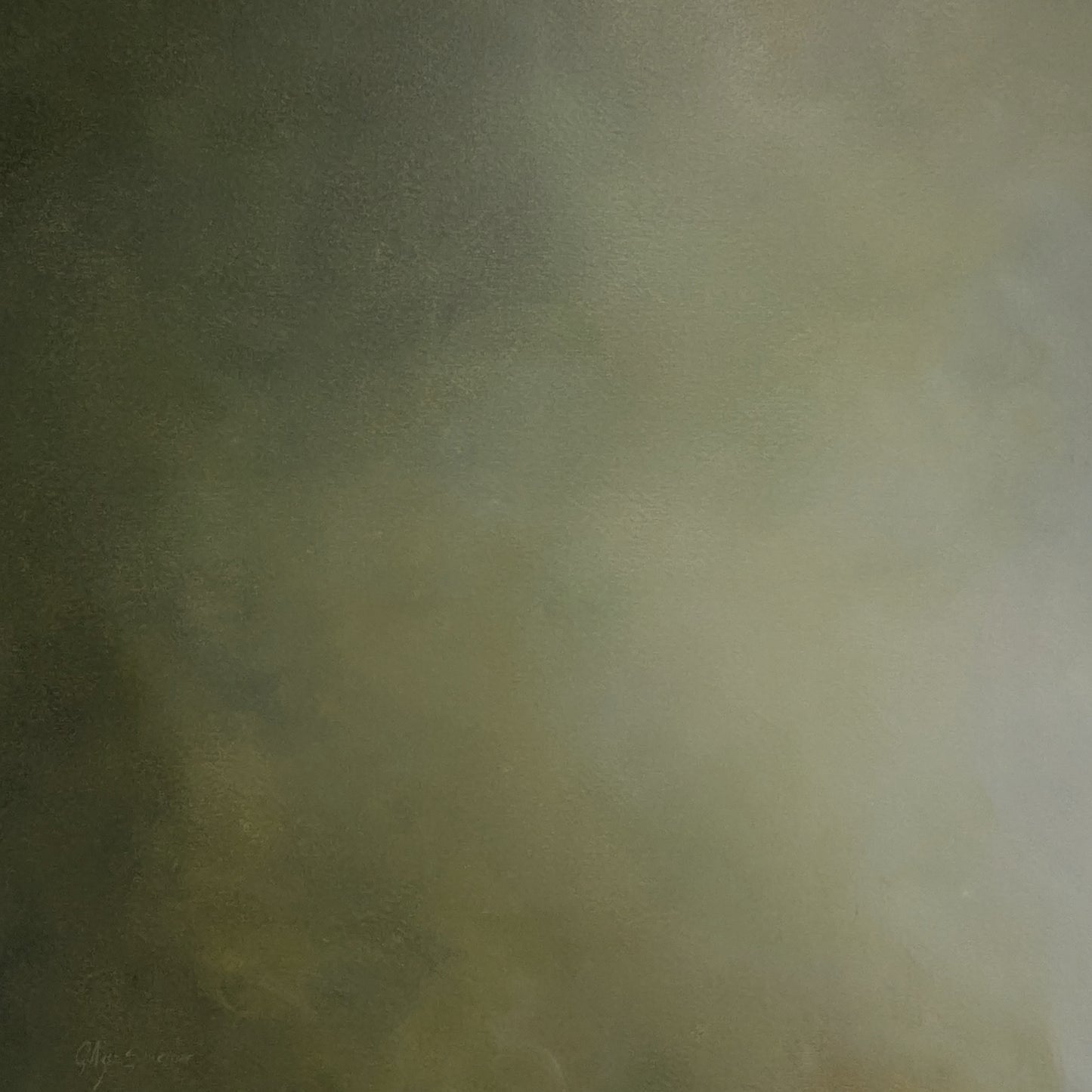 Canopy ll - Gabriela Azar Schreiner art