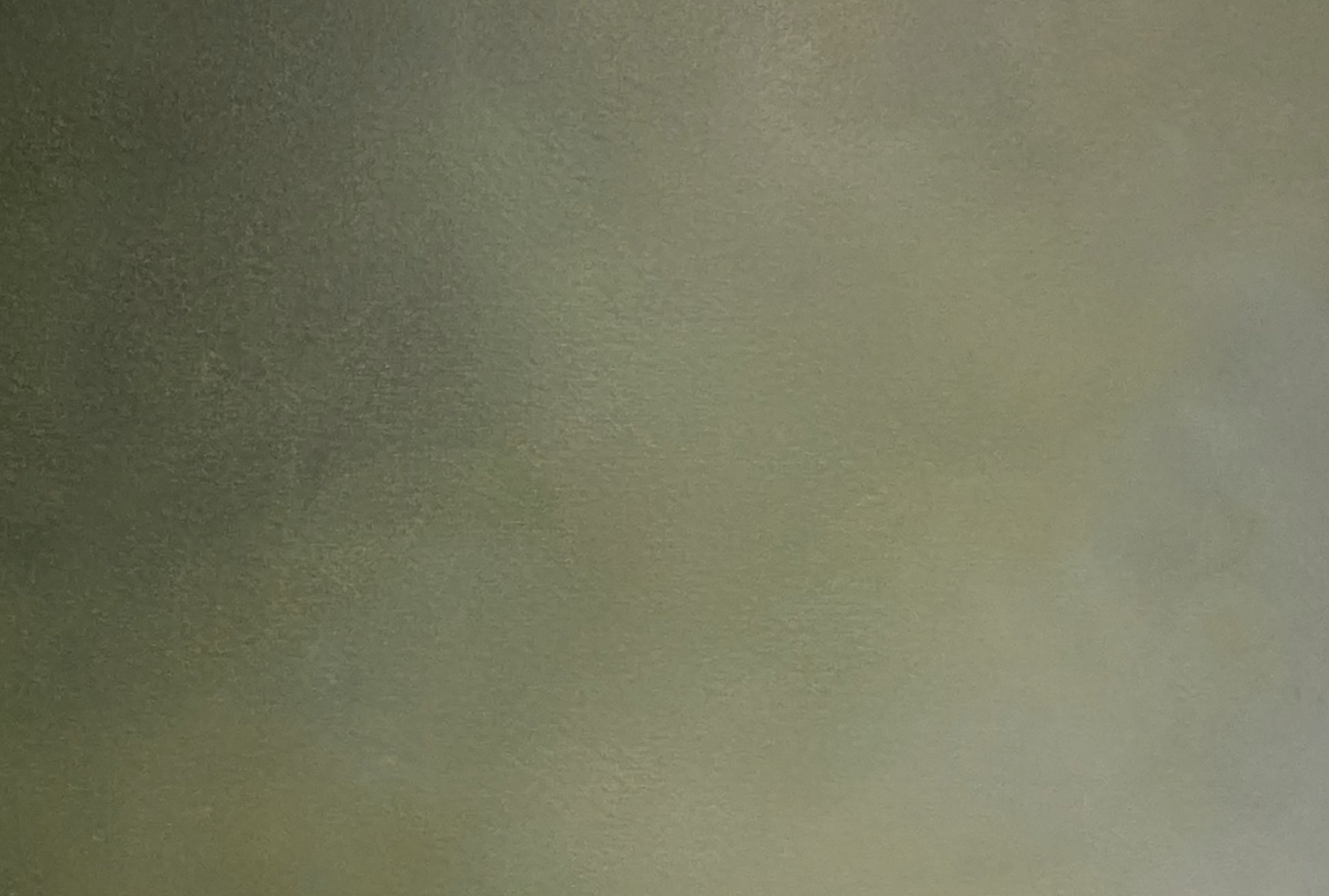 Canopy ll - Gabriela Azar Schreiner art