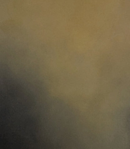 Dimmed Light - Gabriela Azar Schreiner art