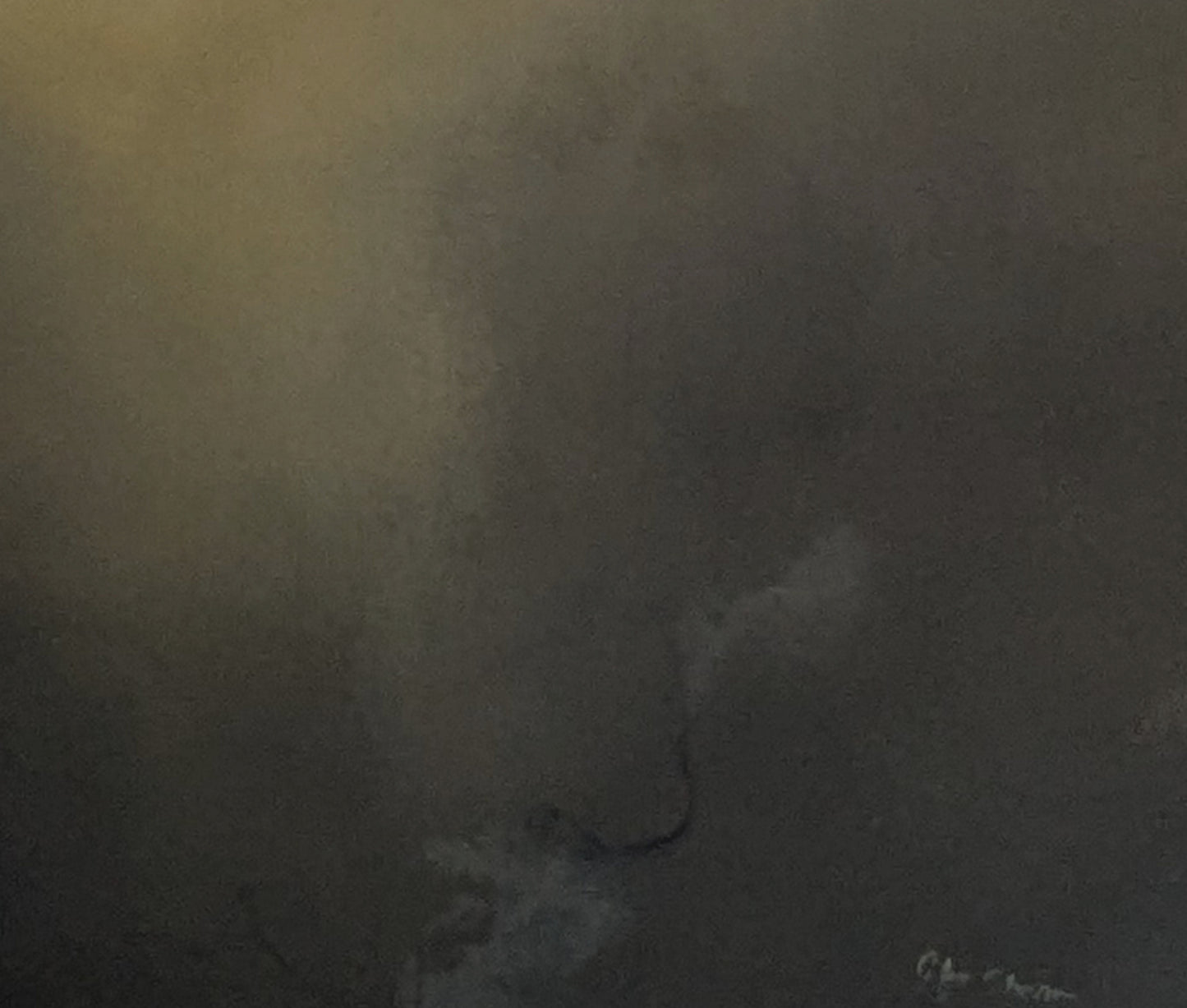 Dimmed Light - Gabriela Azar Schreiner art