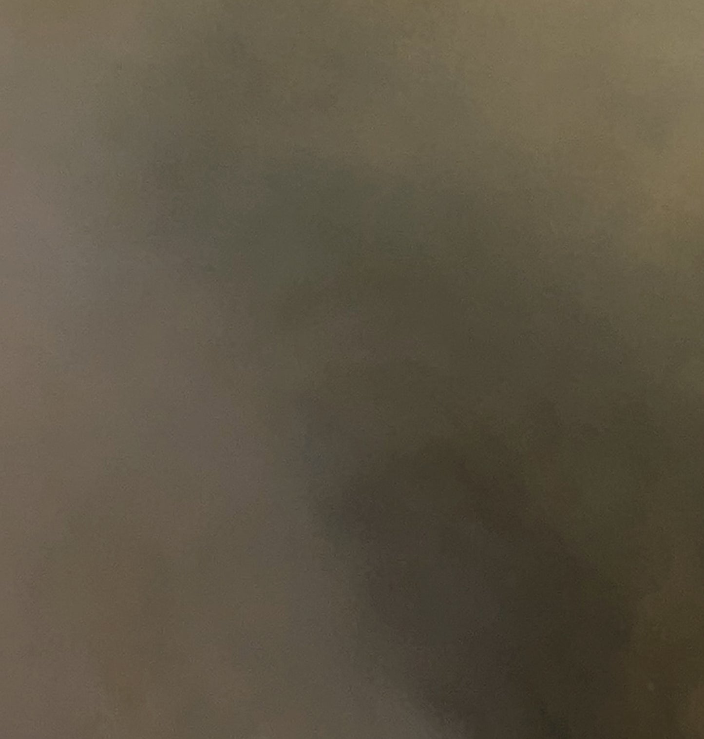 Dusky Silence - Gabriela Azar Schreiner art