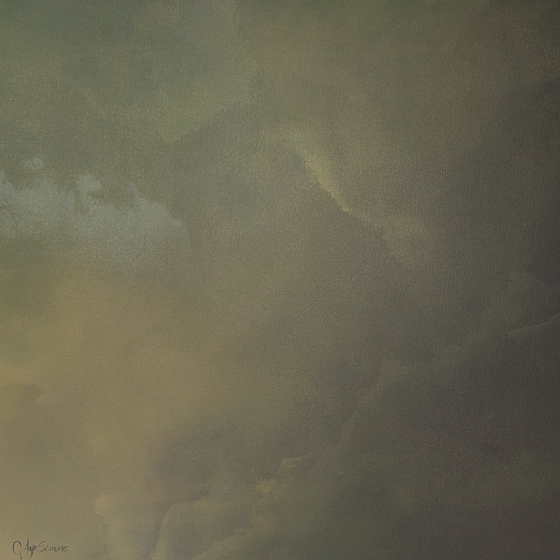 Flow - Gabriela Azar Schreiner art