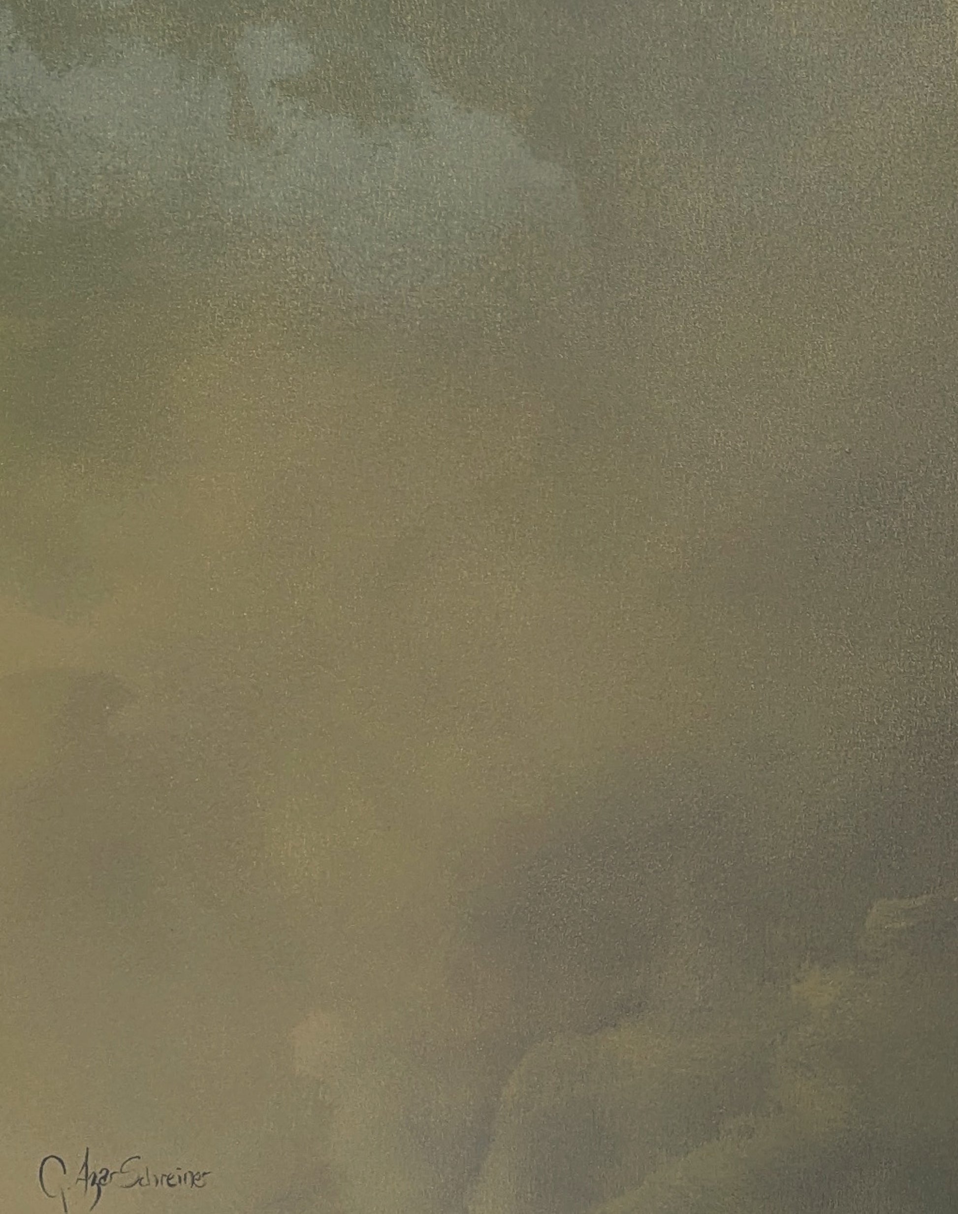 Flow - Gabriela Azar Schreiner art