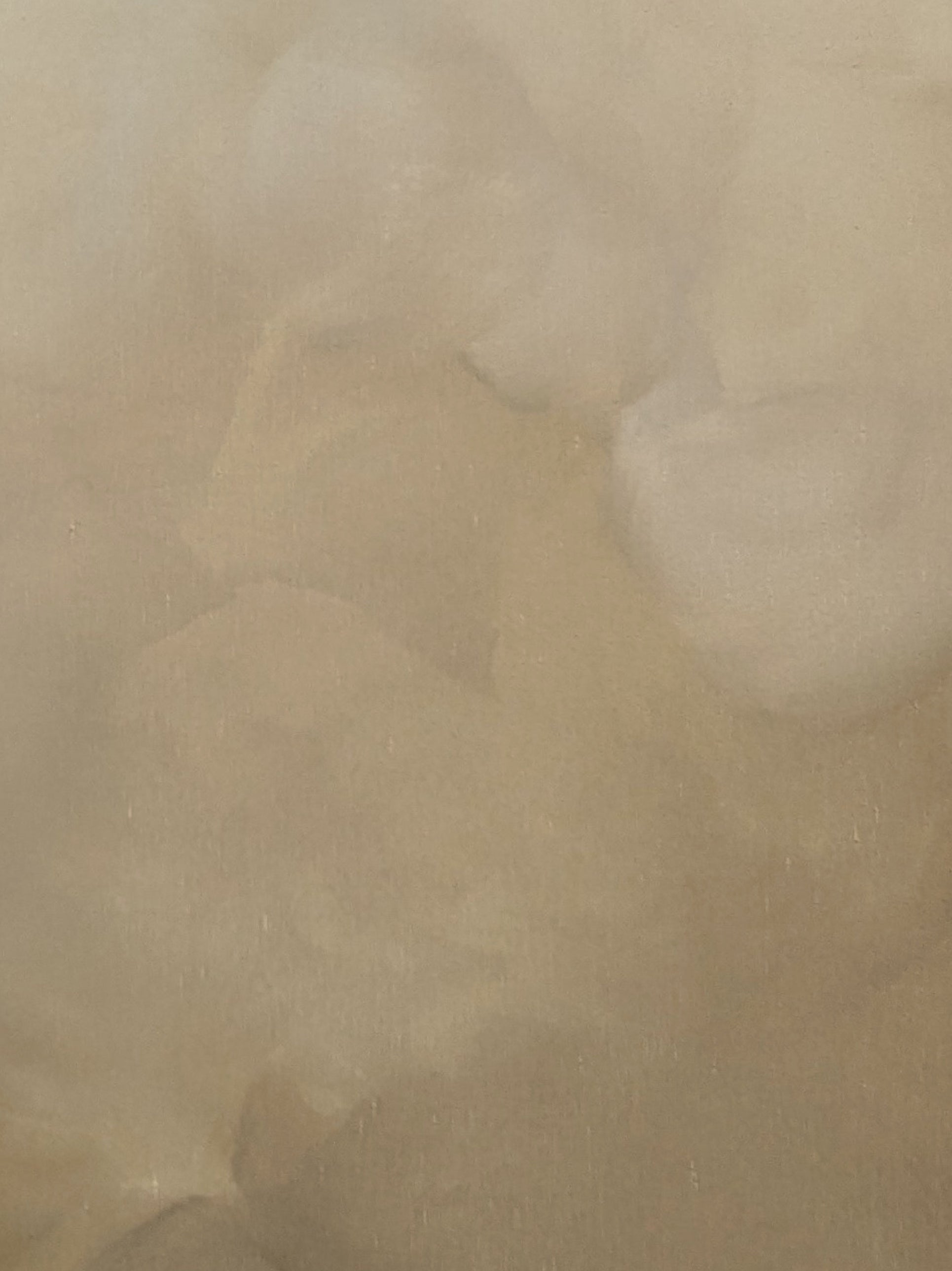Golden whisper - Gabriela Azar Schreiner art