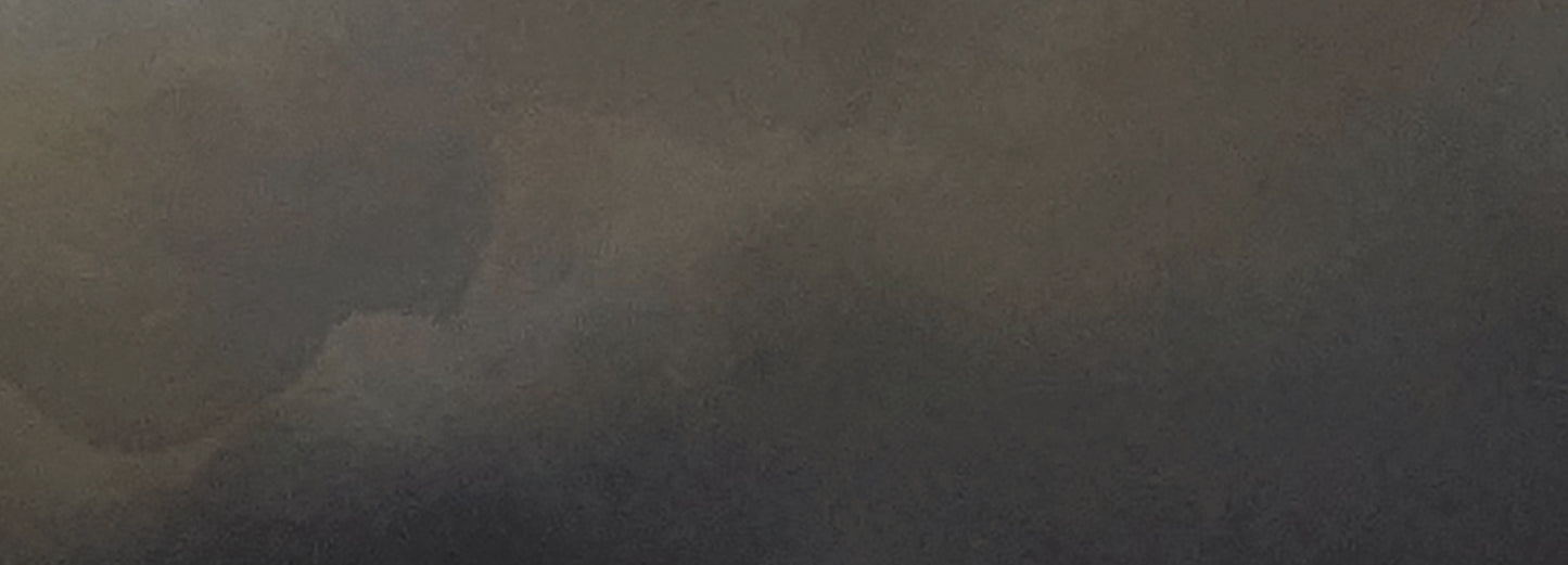 Hinterland, Veiled - Gabriela Azar Schreiner art