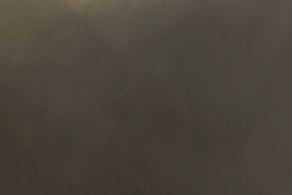 Sepia Murmur - Gabriela Azar Schreiner art