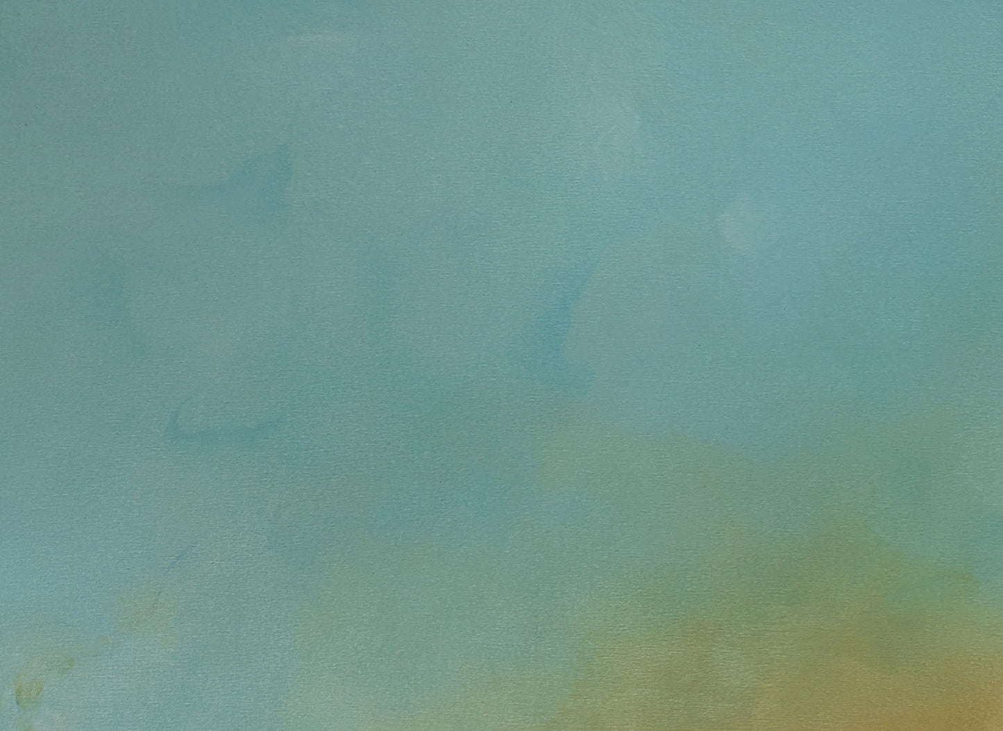 Shoreline