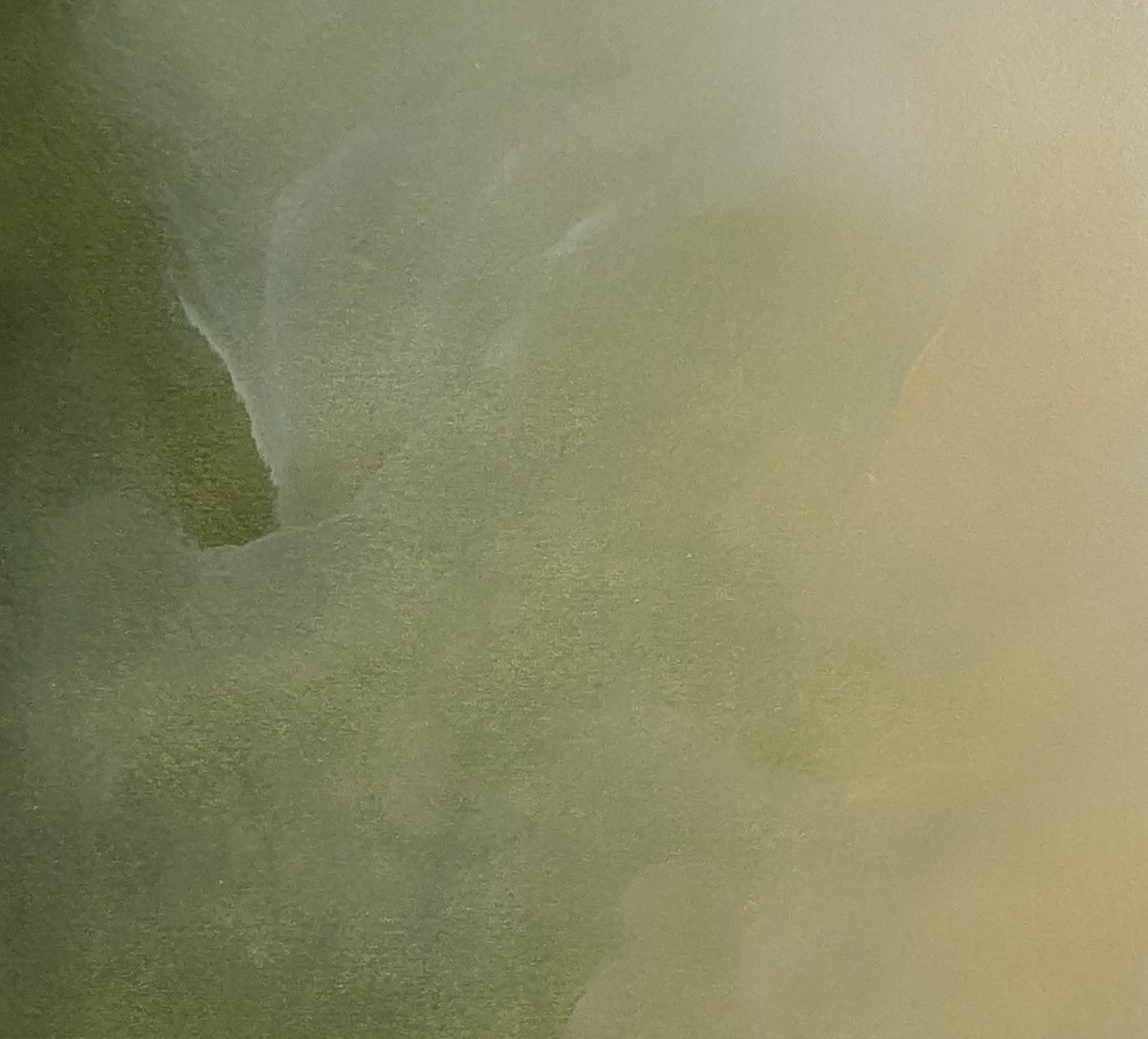 Solace II - Gabriela Azar Schreiner art
