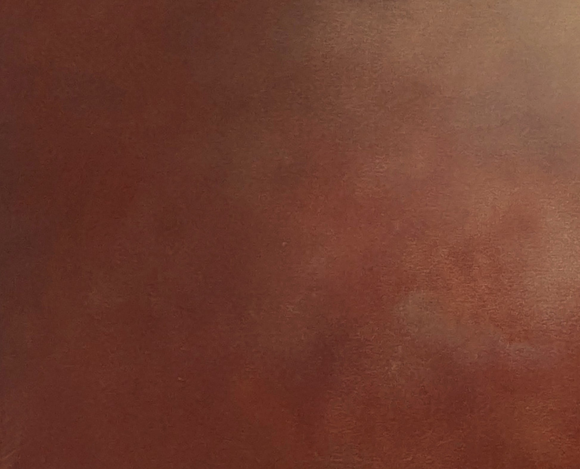 Terra - Gabriela Azar Schreiner art