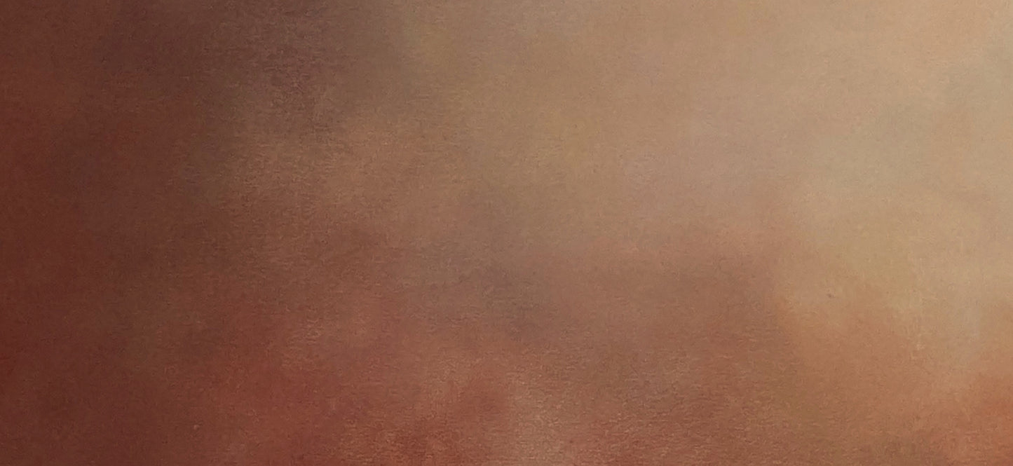 Terra - Gabriela Azar Schreiner art