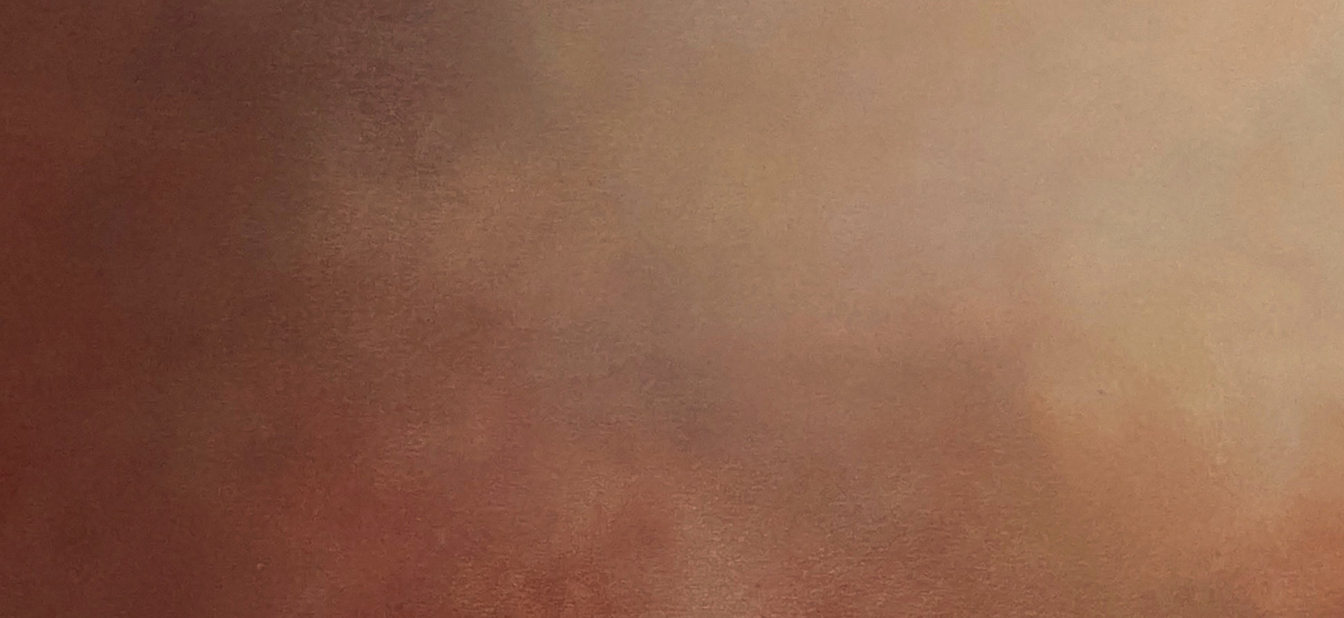 Terra - Gabriela Azar Schreiner art
