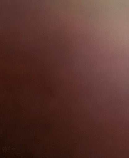 Terra blush - Gabriela Azar Schreiner art