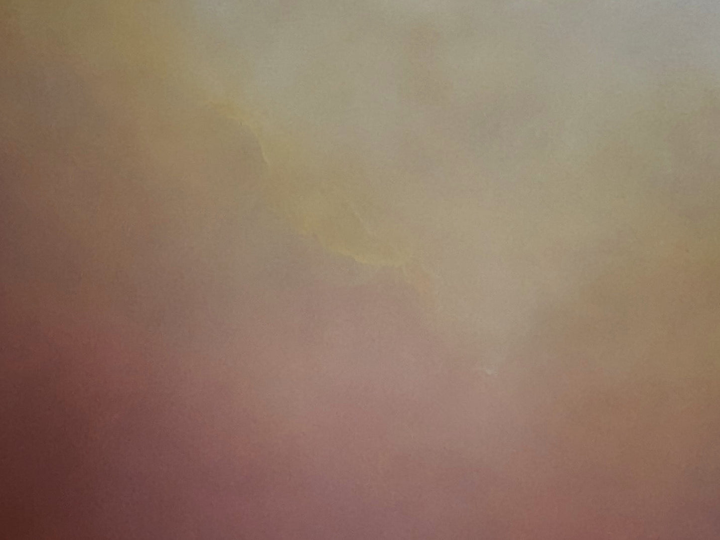 Terra blush - Gabriela Azar Schreiner art