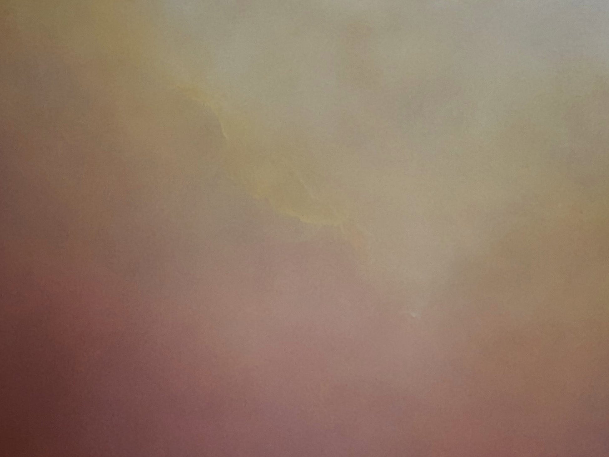 Terra blush - Gabriela Azar Schreiner art