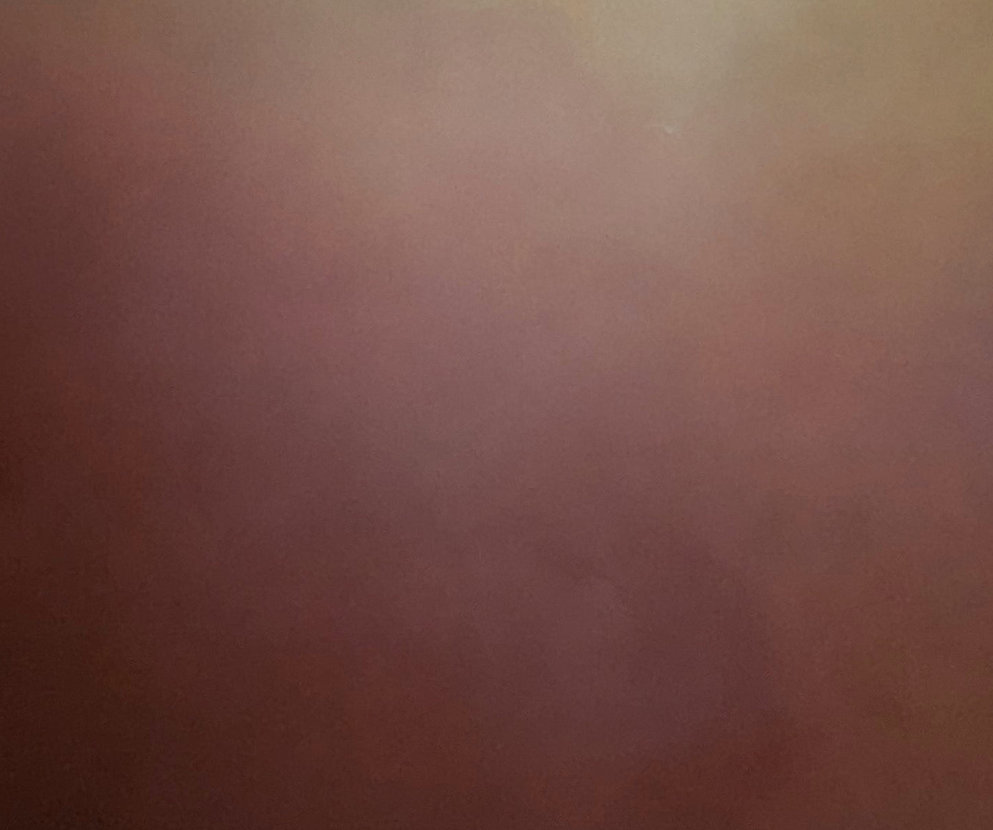 Terra blush - Gabriela Azar Schreiner art
