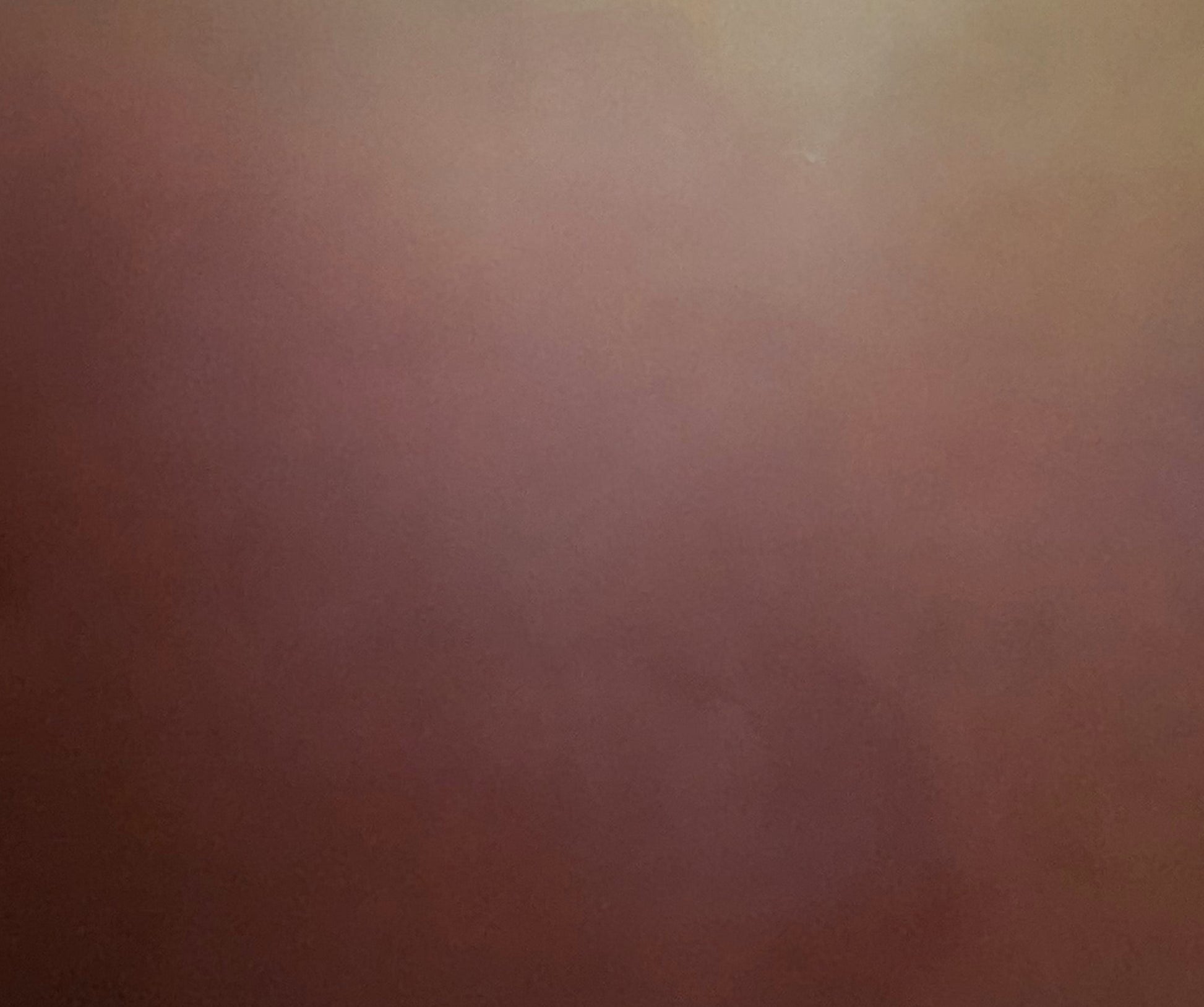 Terra blush - Gabriela Azar Schreiner art