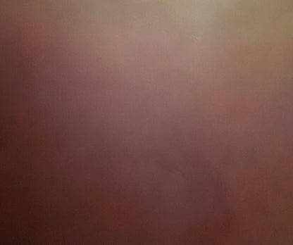 Terra blush - Gabriela Azar Schreiner art
