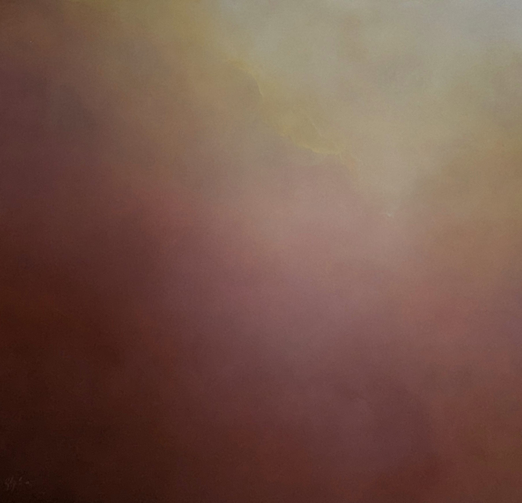 Terra blush - Gabriela Azar Schreiner art