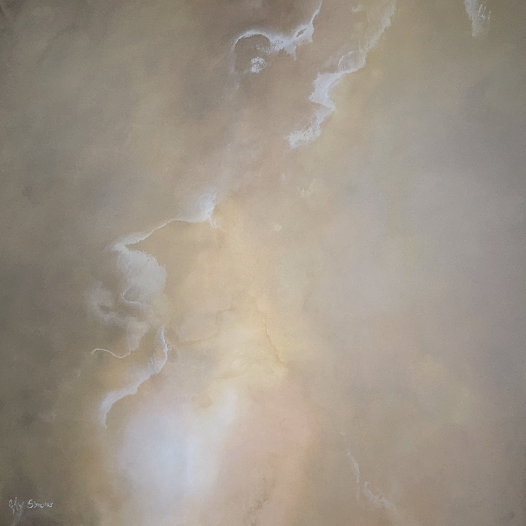 To the Core - Gabriela Azar Schreiner art