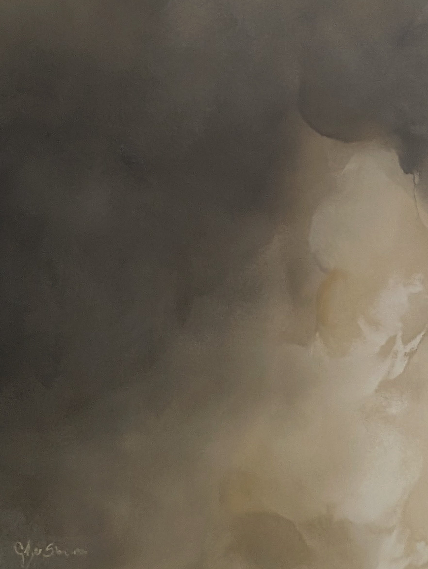 Vanishing Light - Gabriela Azar Schreiner art