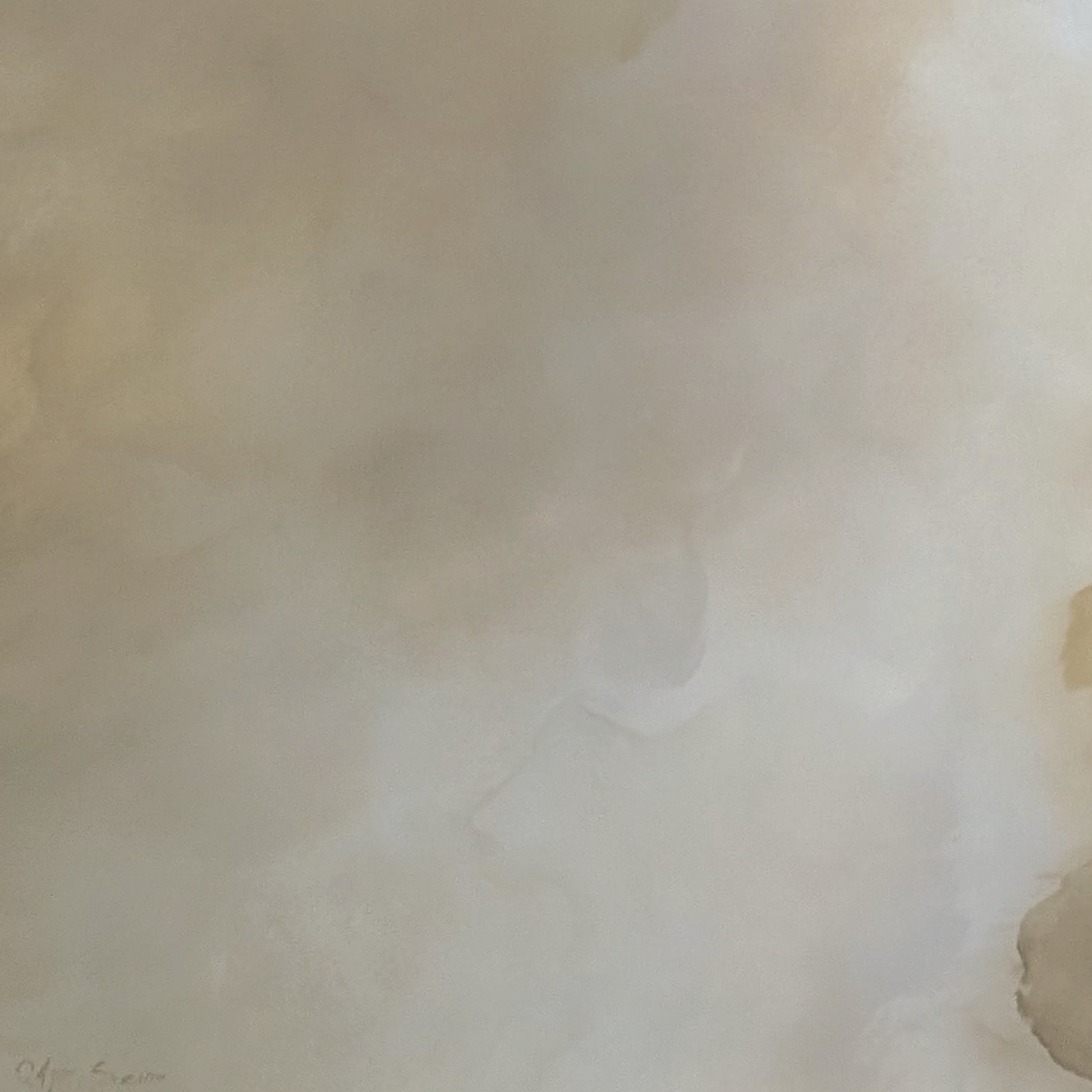 Veiled Brilliance - Gabriela Azar Schreiner art