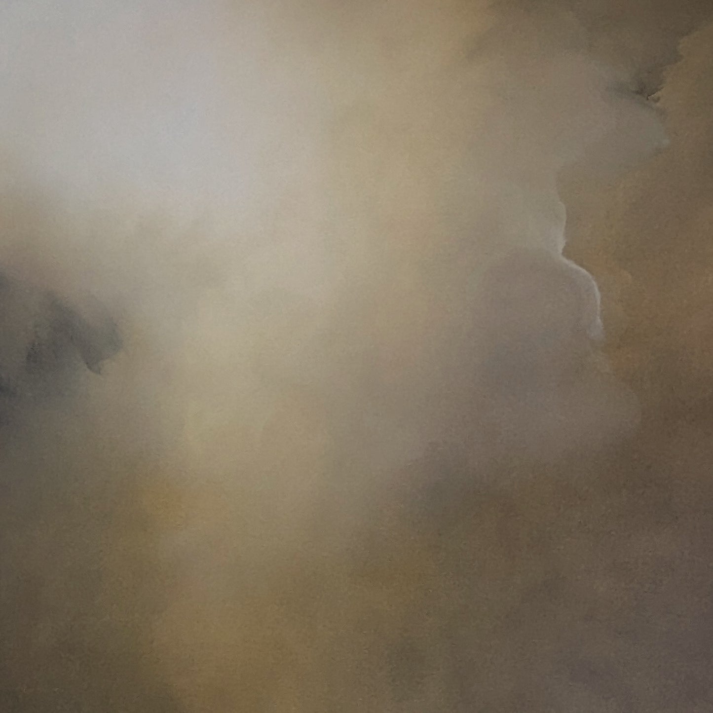 Where the Light Settles - Gabriela Azar Schreiner art