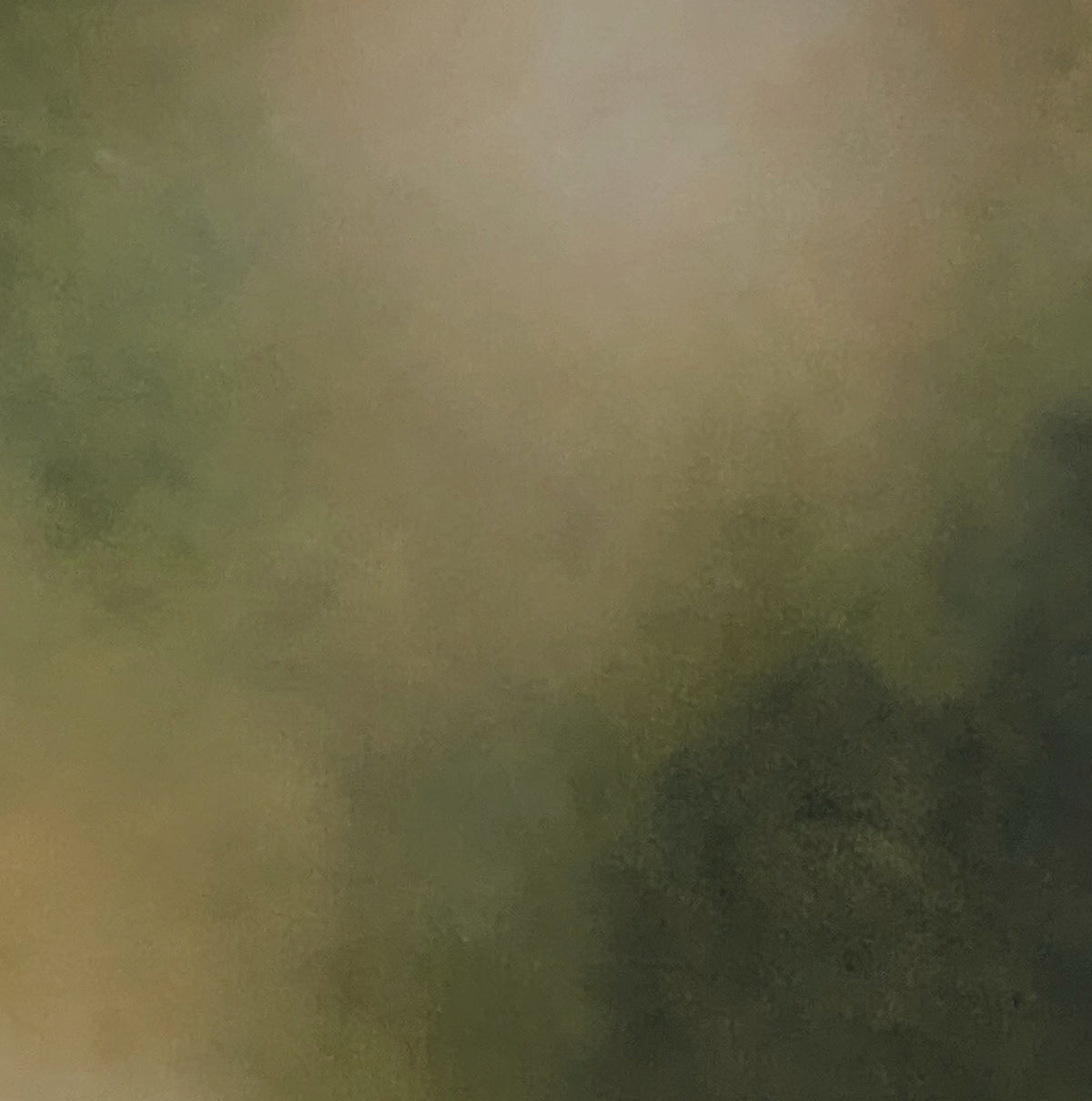 Where the Trees Meet the Sky - Gabriela Azar Schreiner art